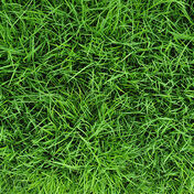 X-Quita las manchas de la naturaleza