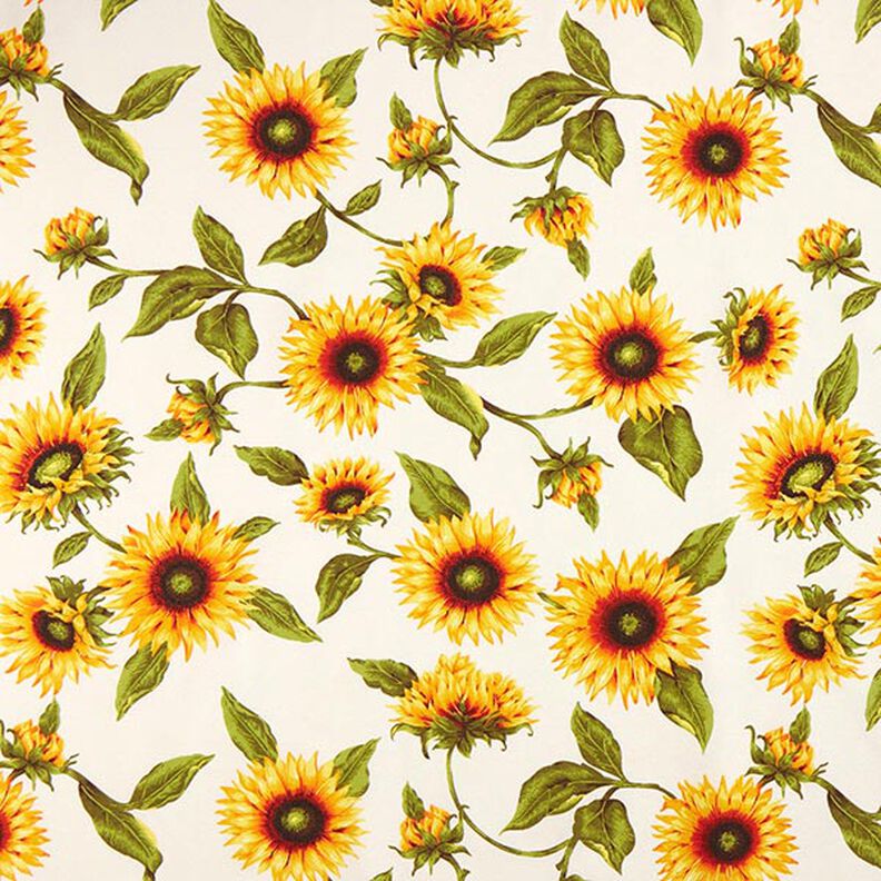 Tela decorativa Lona Girasoles – naturaleza/amarillo sol,  image number 1