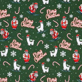 Felpa francesa veraniega Papá Noel y la llama | Glitzerpüppi – verde pino/chili, 