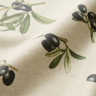 Algodón revestido Ramas de olivo – naturaleza/pino, 