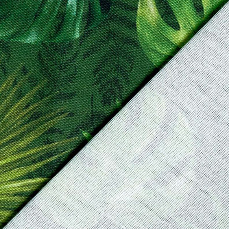 Telas para exteriores Lona Hojas de palmera – oliva,  image number 4