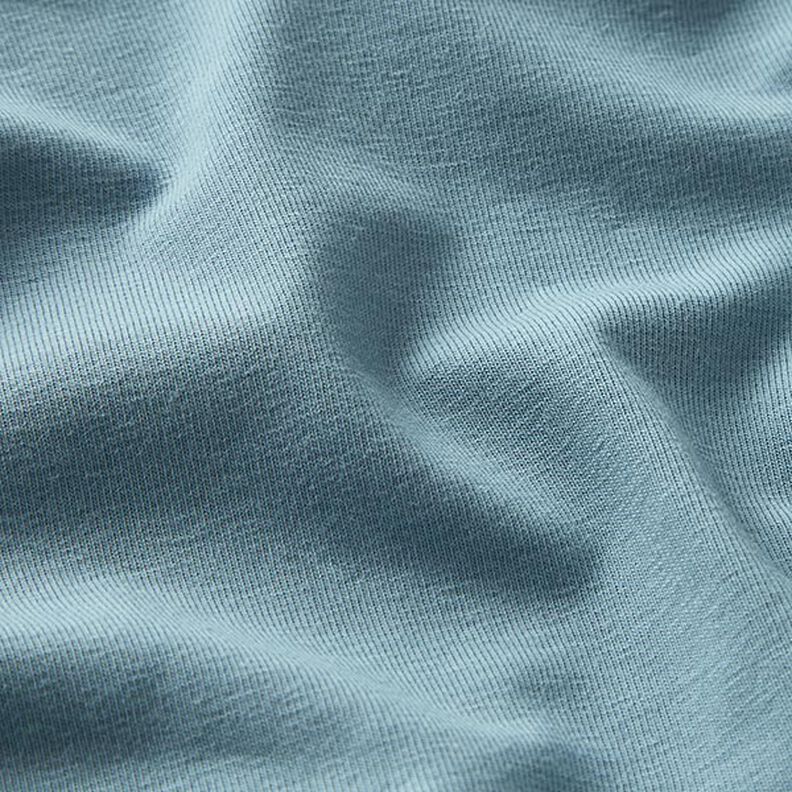 GOTS Tela de jersey de algodón | Tula – azul grisáceo pálido,  image number 2