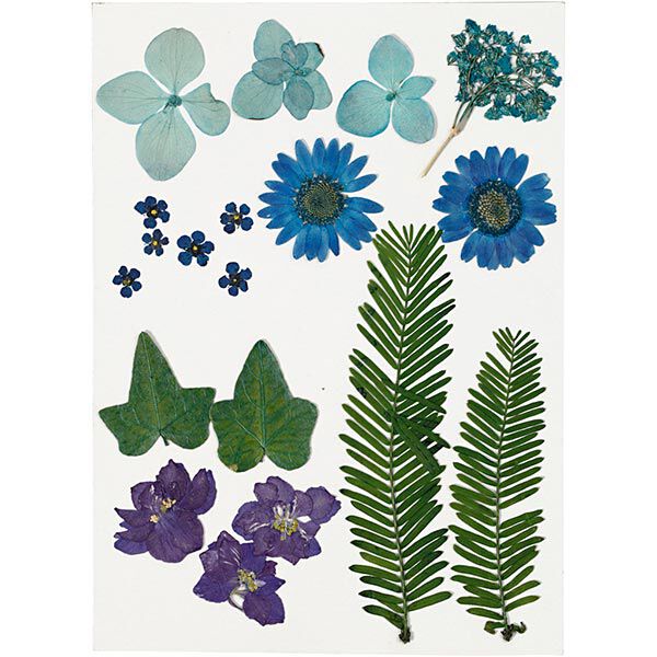 Flores prensadas & Hojas [19 piezas] - azul/verde,  image number 1