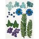Flores prensadas & Hojas [19 piezas] - azul/verde,  thumbnail number 1