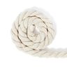 Cordón de algodón [Ø 14 mm] 2 - blanco lana,  thumbnail number 1