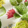 Tela decorativa Lona Cactus – naturaleza/verde,  thumbnail number 2