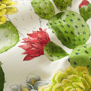 Tela decorativa Lona Cactus – naturaleza/verde, 