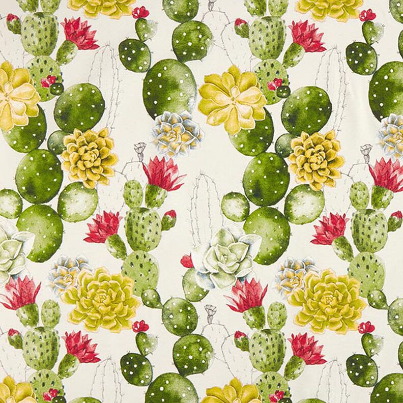 Tela decorativa Lona Cactus – naturaleza/verde,  image number 1