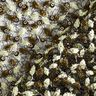 Tela de encaje con enredaderas de flores y lentejuelas – negro/oliva,  thumbnail number 4