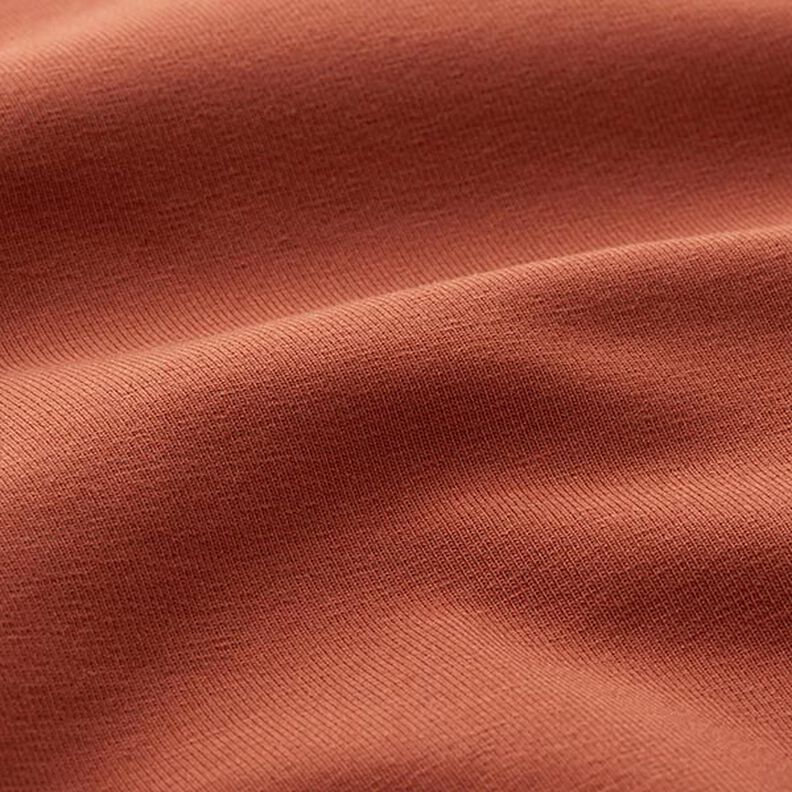 Tela de jersey de algodón Uni mediano – terracotta,  image number 4