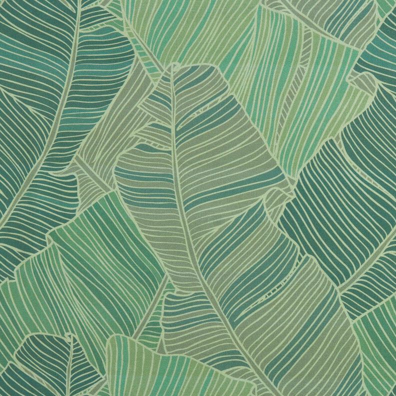 Telas para exteriores Lona Lineas de hojas – verde,  image number 1