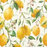 Telas para exteriores Lona Limones – marfil/amarillo limón,  thumbnail number 1