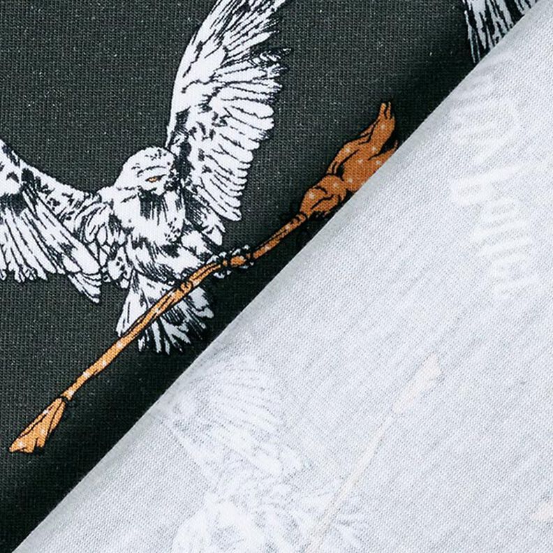 Tela de jersey de algodón Telas con licencia Harry Potter, Hedwig con escoba | Warner Bros. – gris,  image number 4