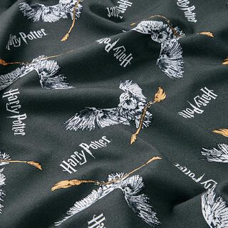 Tela de jersey de algodón Telas con licencia Harry Potter, Hedwig con escoba | Warner Bros. – gris, 