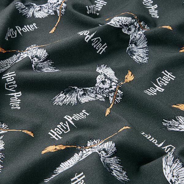 Tela de jersey de algodón Telas con licencia Harry Potter, Hedwig con escoba | Warner Bros. – gris,  image number 2