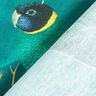 Tela decorativa Lona Pájaros del paraiso – verde oscuro,  thumbnail number 4
