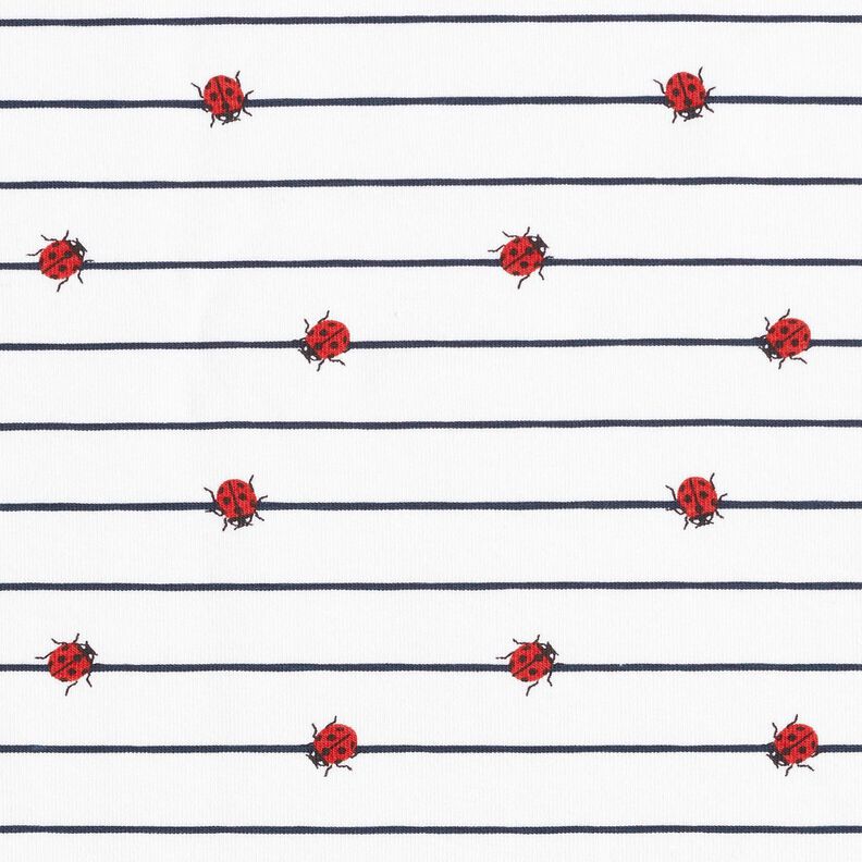 Tela de jersey de algodón Rayas y mariquitas – blanco lana,  image number 1