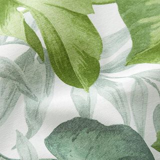 Tela decorativa Lona Grandes hojas de monstera – blanco/verde hierba, 