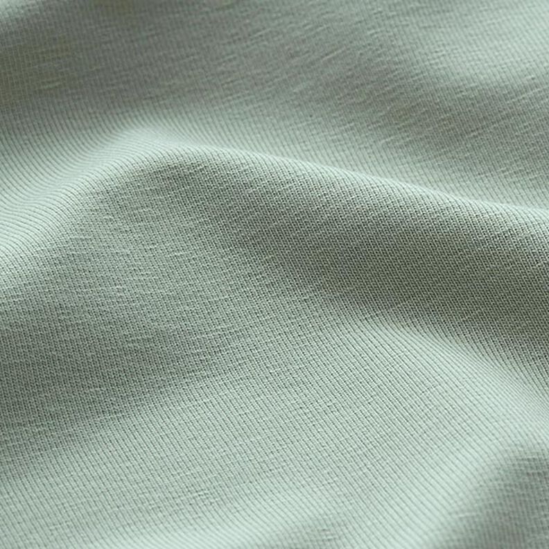 Tela de jersey de algodón Uni mediano – caña,  image number 4