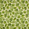 Tela decorativa Panama media hojas de monstera – naturaleza/verde,  thumbnail number 1