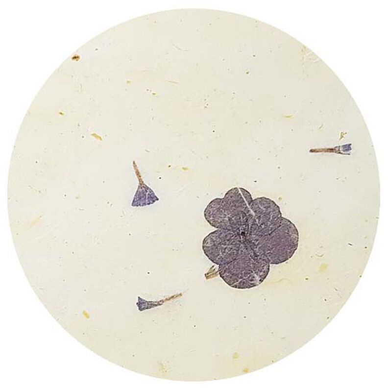 Conjunto de papel natural  "Paper Nature Viola",  image number 3