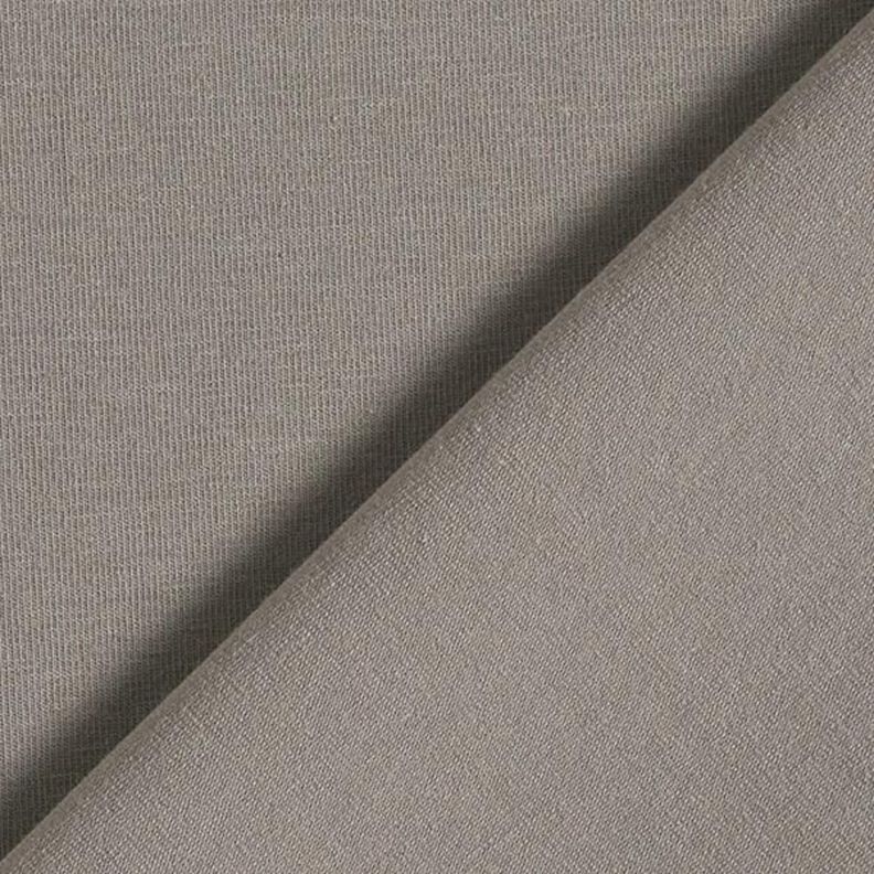 GOTS Tela de jersey de algodón | Tula – gris plateado,  image number 3