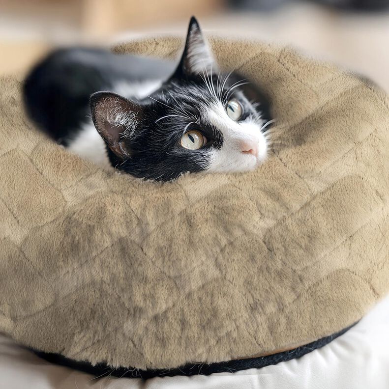 Piel sintética Abstracto – anacardo,  image number 5