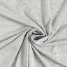 Jersey de verano viscosa claro – gris plateado,  thumbnail number 1
