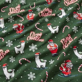 Felpa francesa veraniega Papá Noel y la llama | Glitzerpüppi – verde pino/chili, 