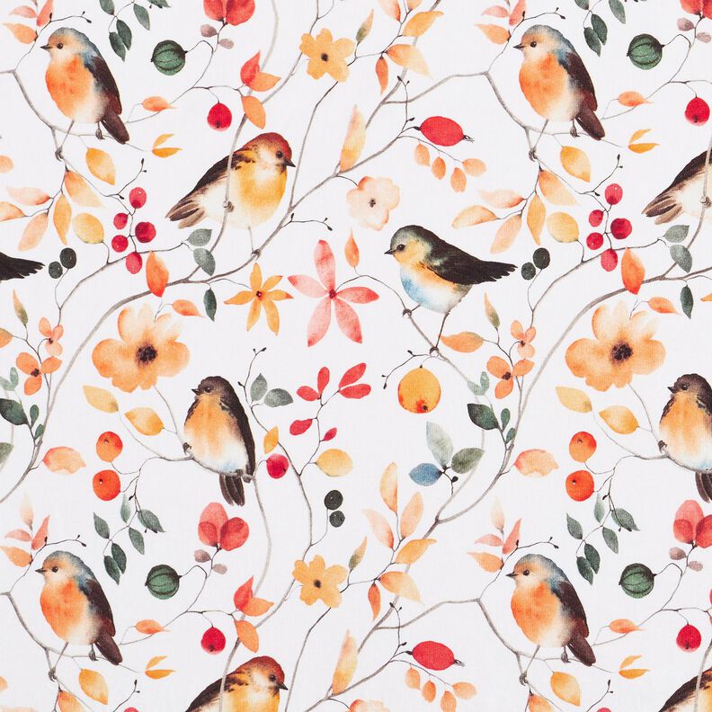 Tela de jersey de algodón Pájaros en las ramas Impresión digital – marfil,  image number 1