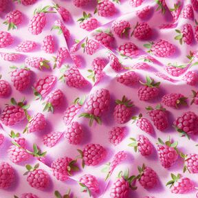 Tela de algodón Popelina Frambuesas brillantes – violeta pastel/verde manzana, 