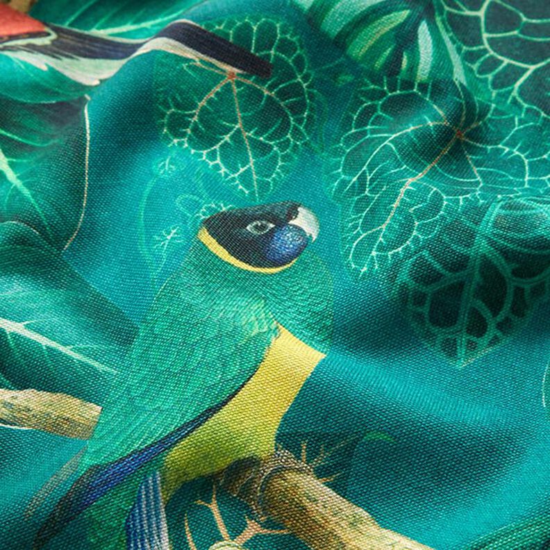 Tela decorativa Lona Pájaros del paraiso – verde oscuro,  image number 2