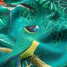 Tela decorativa Lona Pájaros del paraiso – verde oscuro, 