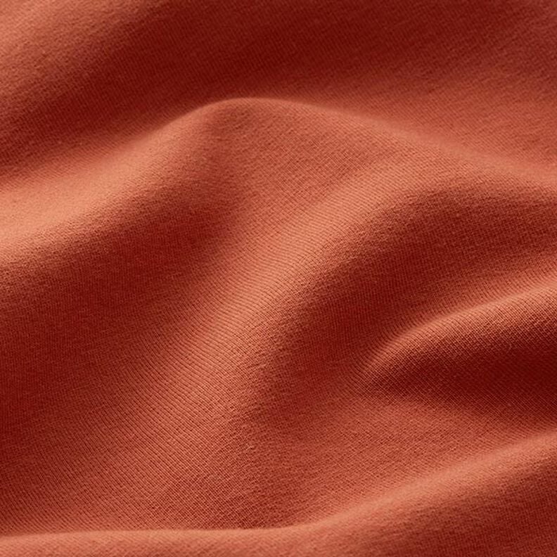 Sudadera ligera de algodón Uni – terracotta,  image number 4
