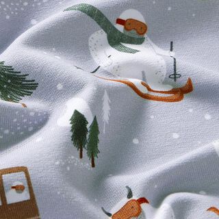 Felpa francesa orgánica Yetis esquiando Impresión digital – gris plateado, 
