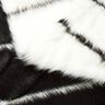 Piel sintética Rayas horizontales – negro/blanco lana,  thumbnail number 5