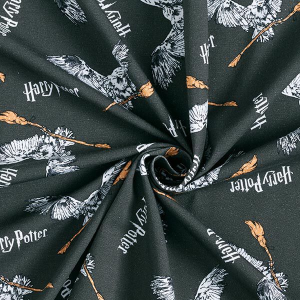 Tela de jersey de algodón Telas con licencia Harry Potter, Hedwig con escoba | Warner Bros. – gris,  image number 3