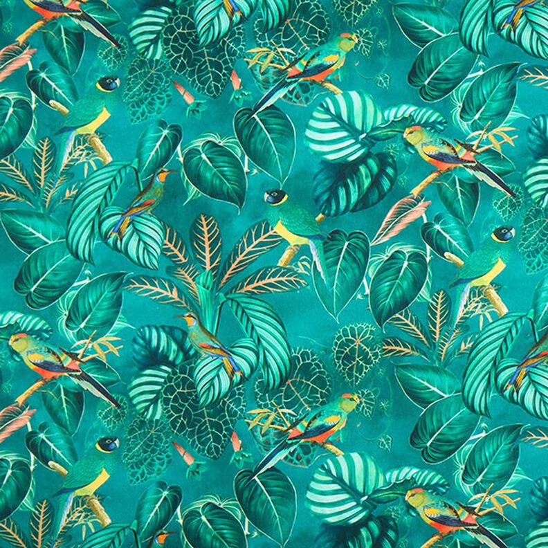 Tela decorativa Lona Pájaros del paraiso – verde oscuro,  image number 1