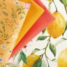 Telas para exteriores Lona Limones – marfil/amarillo limón,  thumbnail number 6