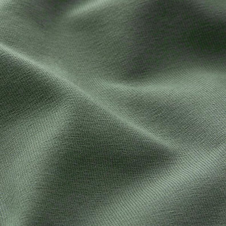 Tela de jersey de algodón Uni mediano – pino,  image number 4