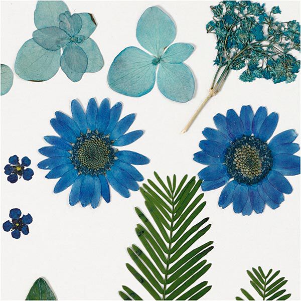 Flores prensadas & Hojas [19 piezas] - azul/verde,  image number 3
