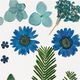 Flores prensadas & Hojas [19 piezas] - azul/verde,  thumbnail number 3
